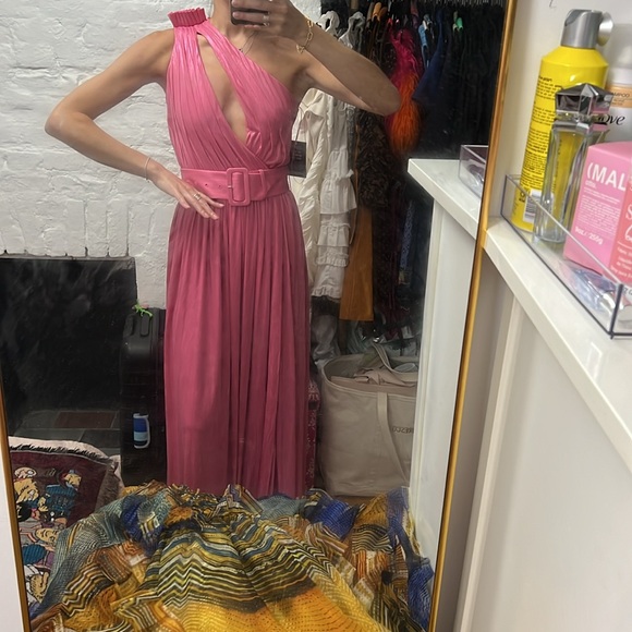 NWT Retrofete Andrea dress pink size XS - Picture 4 of 9